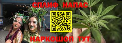 молекула духа Лесосибирск