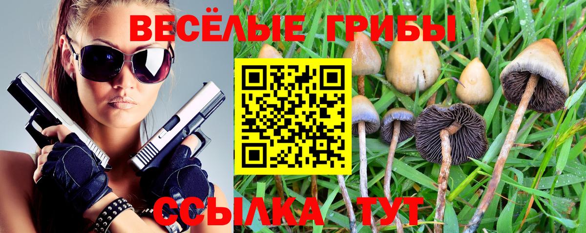 Псилоцибиновые грибы Psilocybine cubensis  Галлюциногенные грибы мицелий  как найти   Тимашёвск  Вход с VPN 